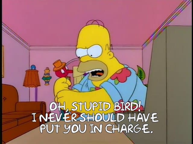 Homer Simpson scolding the toy drinking bird: 'Oh, stupid bird! I never should have put you in charge.'